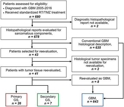 Clinical Characteristics of Gliosarcoma and Outcomes From Standardized Treatment Relative to Conventional Glioblastoma